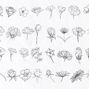 30 Hand Drawn Flowers with Branches SVG, Flower svg Bundle, Hand Drawn Plants, Line Art Flower Svg, Flowers Clipart, Flower Outlines