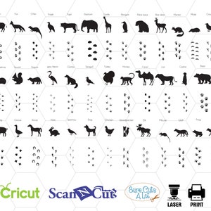 Animali con impronta sagoma svg, tracce di animali, vivaio stampa, ricamo di impronta, charms animali, stampe animalier, impronte svg, png
