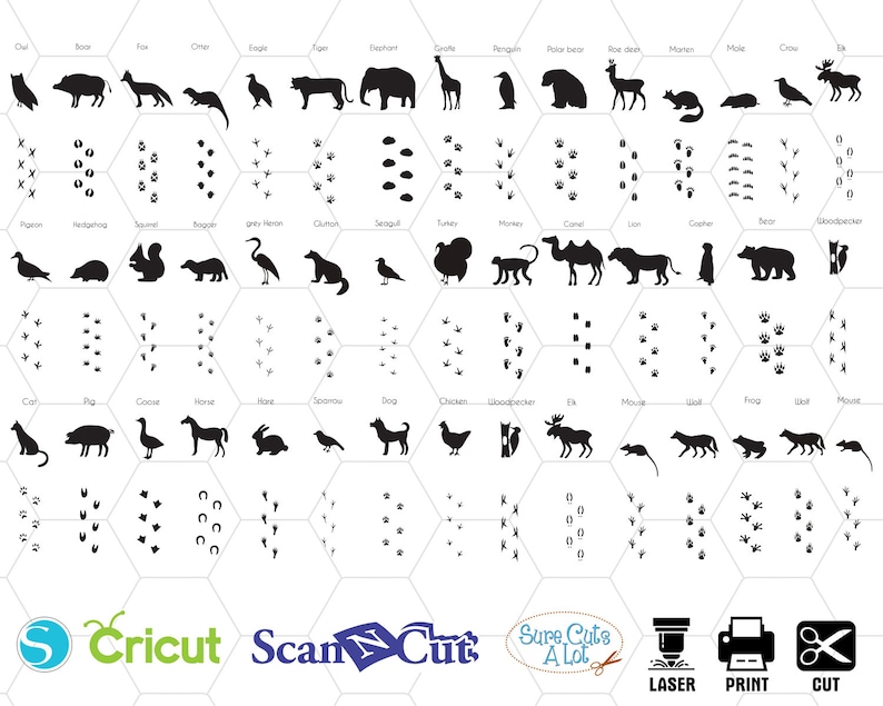 Download Animals with footprint silhouette svg animal tracks nursery | Etsy