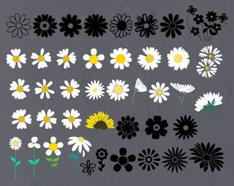 42 Daisy Flower SVG Bundle, Sunflower Svg, Botanical svg, Blos svg, Dais svg, Daisy Clipart, Daisies Svg, Daisy Cut Flie, Daisy Png,