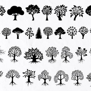 31 Tree SVG Bundle, Tree Vector, Tree Clipart, Tree Silhouette, Tree Monogram, Palm Tree Svg, Christmas Tree Svg, Tree Root Svg  