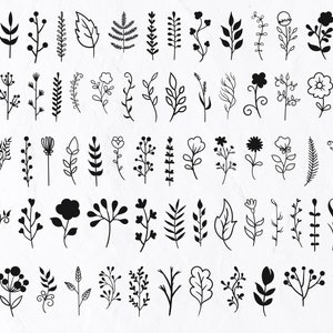 72 Element Floral Hand Drawn SVG Bundle, Flower, Botanical, Engraving, Decorative, Flowers Clipart, Vinyl, Stencil, Flowers Vector