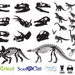 Dinosaur Skull svg, Dinosaur bone svg, Tyrannosaurus Rex svg, Dinosaur Skull T-Rex Archaeology Dino Fossil Jurassic Reptile Animal Museum