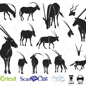 Oryx svg files bundle, safari animals svg, oryx clipart, oryx head svg, antelope svg file, oryx cut file, antelope silhouette svg, design