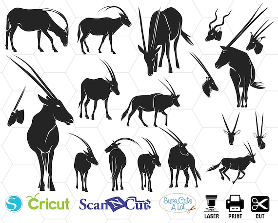 Download Oryx Svg Files Bundle Safari Animals Svg Oryx Clipart Oryx Etsy