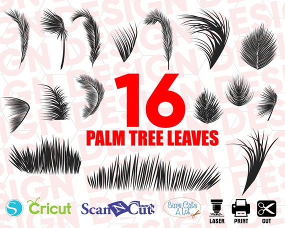 Palm Tree Leaves Svg Tropical Leaves Dxf Palm Tree Exotic Etsy