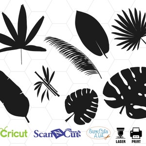 tropical leaves svg, leaf svg, palm leaf svg, monstera leaf svg, tropical plants, silhouette, clipart, cricut, bundle, vinyl decal svg, dxf