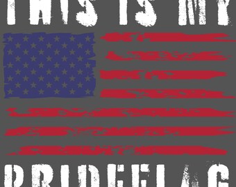 Esta es mi bandera del orgullo EE.UU. American SVG PNG descargar