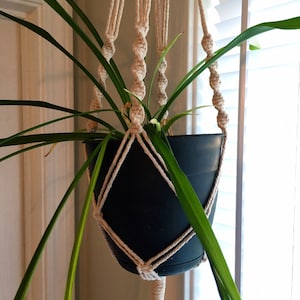 Può includere: Una pianta con lunghe foglie verdi pende da un vaso nero appeso a un portavasi in macramè fatto di corda naturale color crema.