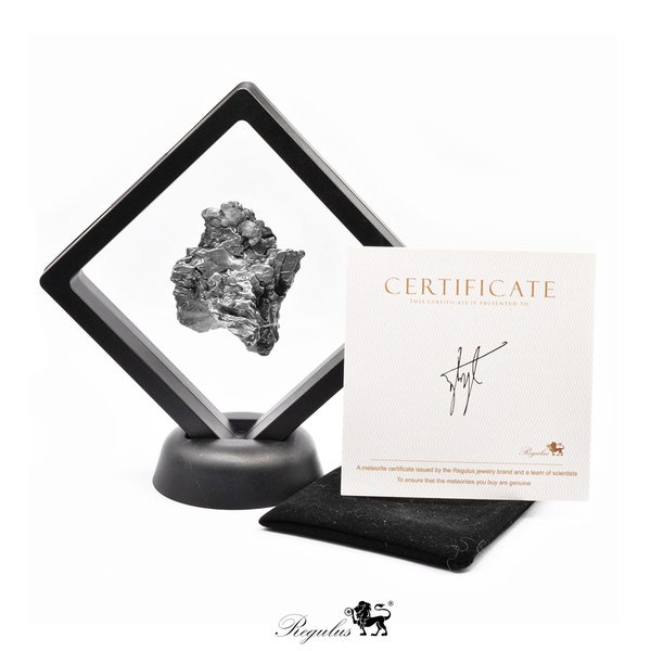 Campo Del Cielo Iron Meteorite Specimens - Argentinian Space Rock