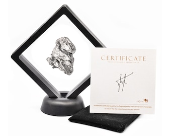 Ejemplar de meteorito de hierro: Reliquia cósmica con vitrina.