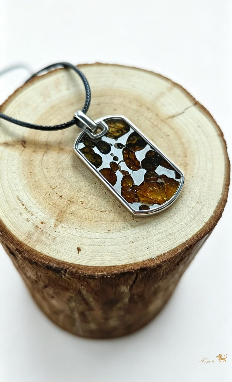 Puede incluir: Un collar con colgante rectangular con marco plateado y cord&oacute;n negro. El colgante presenta un patr&oacute;n de formas marrones y blancas. El collar se exhibe sobre una superficie de madera.