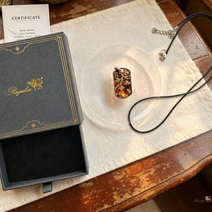 Puede incluir: Un colgante rectangular con inclusiones de color &aacute;mbar, sobre un collar de cord&oacute;n negro. El colgante est&aacute; sobre una placa circular transparente. Una caja negra abierta con ribete dorado y la palabra "Regulus" est&aacute; al lado.