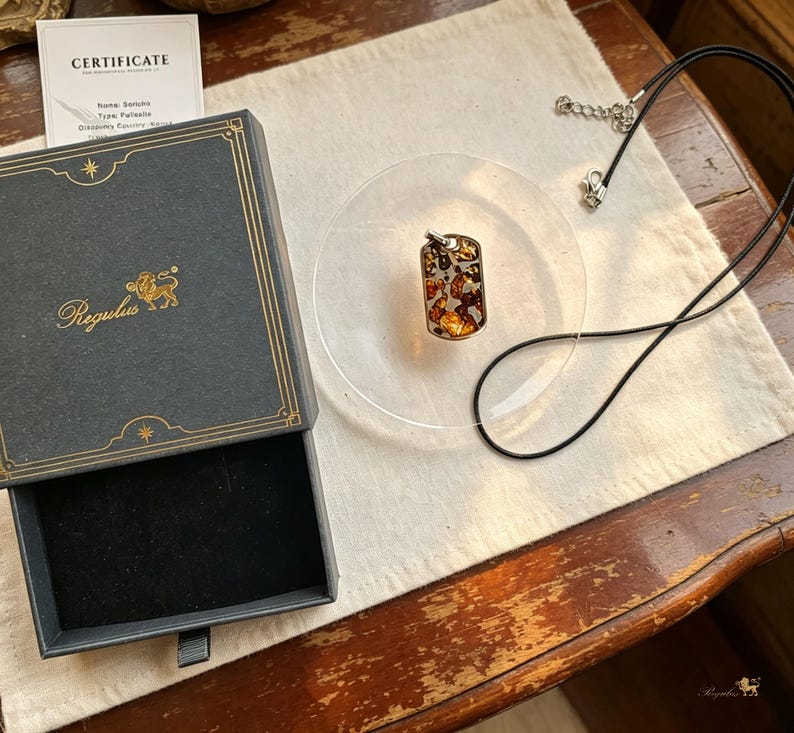 Puede incluir: Un colgante rectangular con inclusiones de color &aacute;mbar, sobre un collar de cord&oacute;n negro. El colgante est&aacute; sobre una placa circular transparente. Una caja negra abierta con ribete dorado y la palabra "Regulus" est&aacute; al lado.