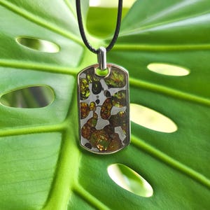 Puede incluir: Colgante rectangular con marco plateado y cord&oacute;n negro. El colgante presenta un patr&oacute;n &uacute;nico de formas org&aacute;nicas verdes y marrones sobre un fondo plateado. El colgante se muestra sobre una gran hoja verde.