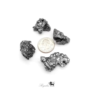 Campo Del Cielo Specimens,Meteorite Campo Del Cielo,Argentinien Campo Del Cielo,Meteorite Specimens,Iron Meteorite