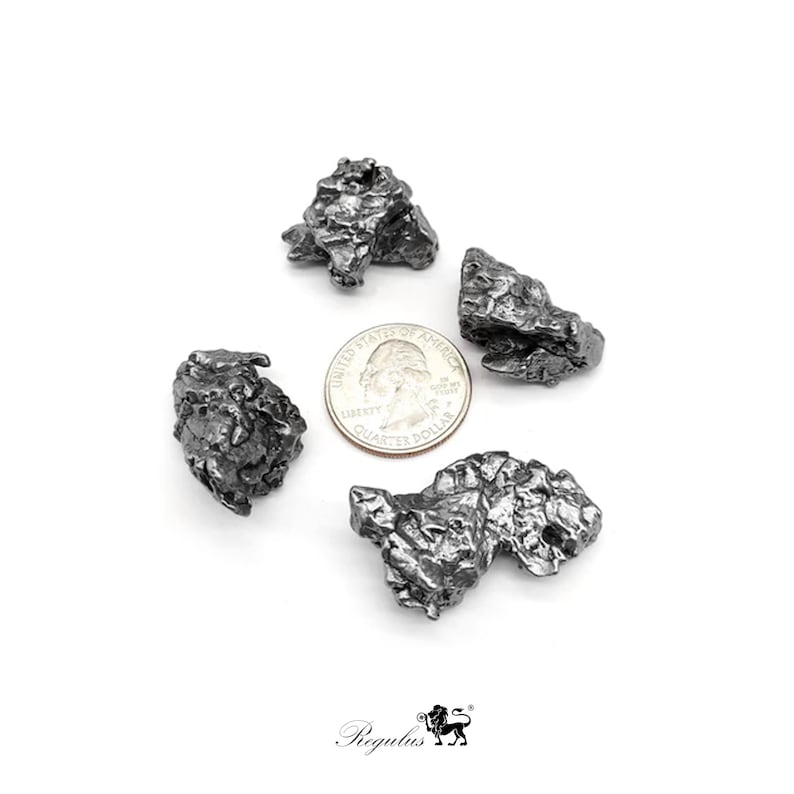 Campo Del Cielo Specimens,Meteorite Campo Del Cielo,Argentinien Campo Del Cielo,Meteorite Specimens,Iron Meteorite