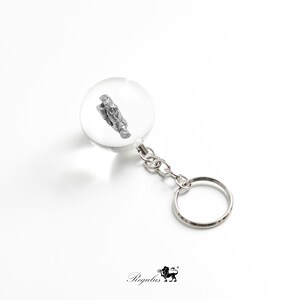 campo del cielo,
purse key finder,
fantasy key,
cute key caps,
meteorite ring men,
meteorite earrings,
meteorite pendant,
key fob,
Meteorite Key Chain,
Outer Space Gift,
key chain,
key holder,
key holder for wall,