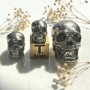 May include: Three silver-colored skull sculptures of varying sizes. The smallest skull is on the left, the medium-sized skull is on a gold-colored cube with the text "T. 1cm", and the largest skull is on the right. Dried flowers are in the background.