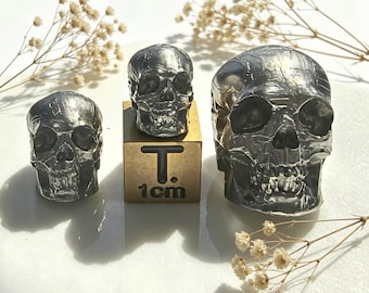 Real Meteorite Skull – Iron Meteorite Carving with Natural Etched Pattern, Dark Academia Desk Decor, Cosmic Skeleton Art