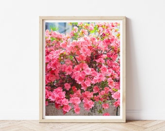 Soft Pink Flowers Photo / Pink Gallery Wall Art / Prints for Framing / Europe Travel Photography / Flower Photo / Pop of Pink / Nursery Art