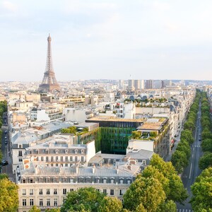 May include: An aerial view of Paris, France, with the Eiffel Tower in the distance and a wide, tree-lined avenue in the foreground.