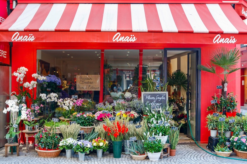 Parisian Flower Shop Storefront Photo / France Travel Etsy
