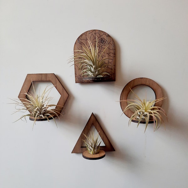 Magnetic Air Plant Holder