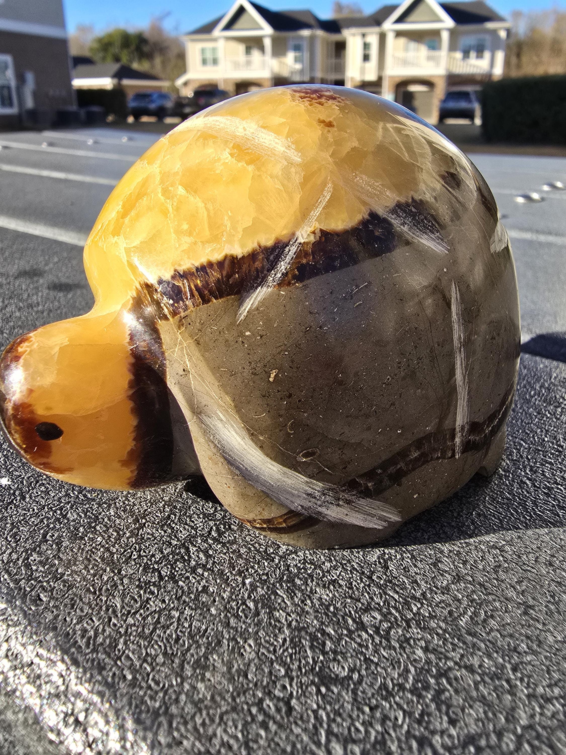 Flat Stone Turtle Shell Large Dragon Shell Septarian Stone Turtle Carving 3.86