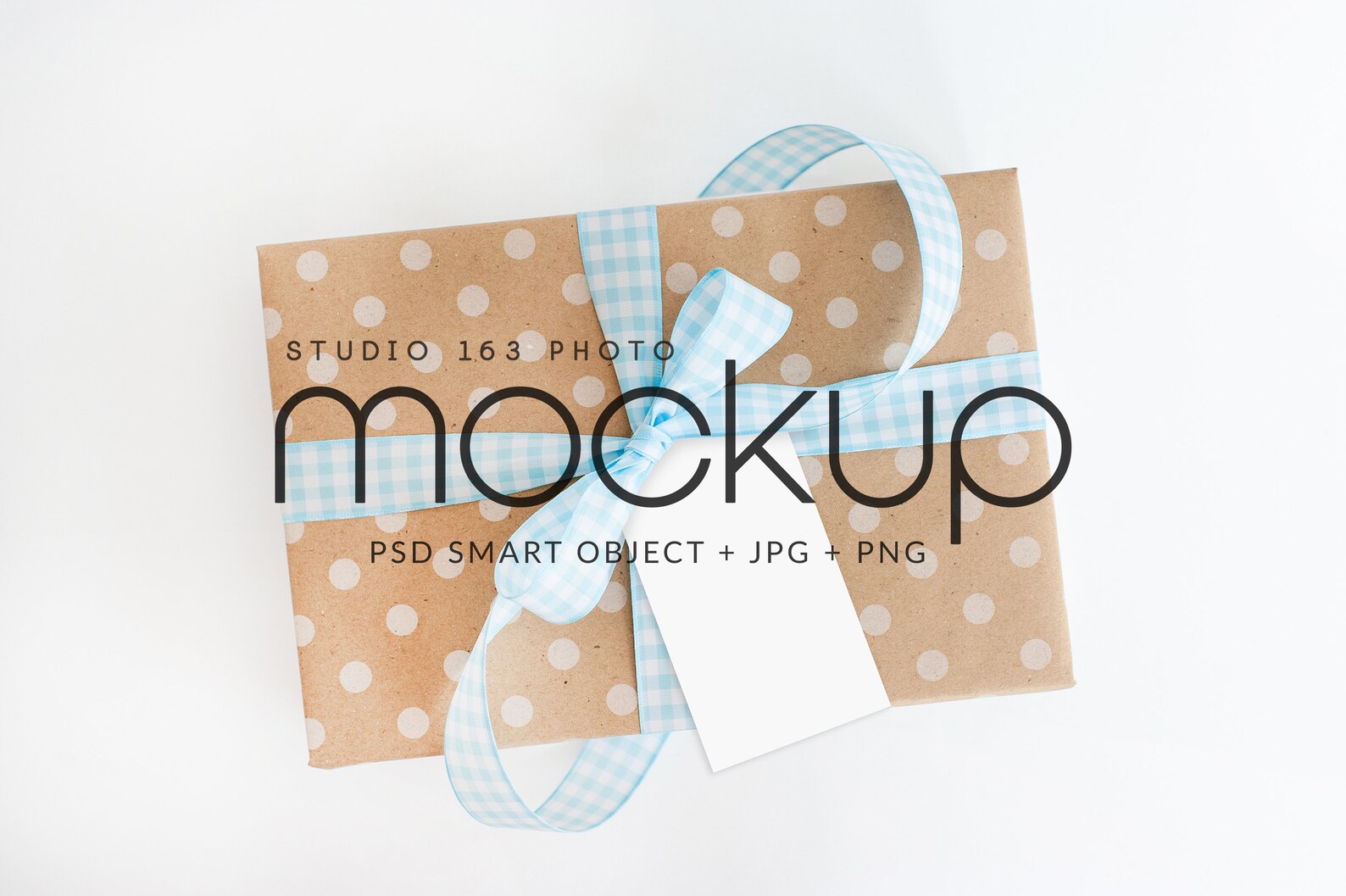Download Gift Favor Tag Mockup 2x3.5 Sac Sticker Label Mockup Kraft | Etsy