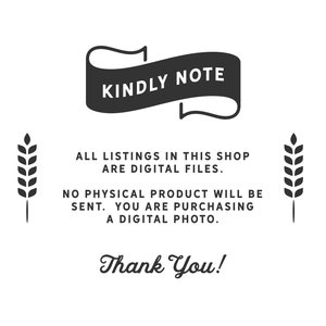 Food Canister Mockup: Kitchen Pantry Glass Jar (JPEG) image 3