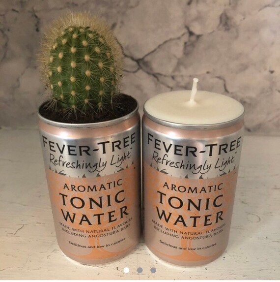 Fever tree Candle & cactus duo upcycled scented candles plant Etsy