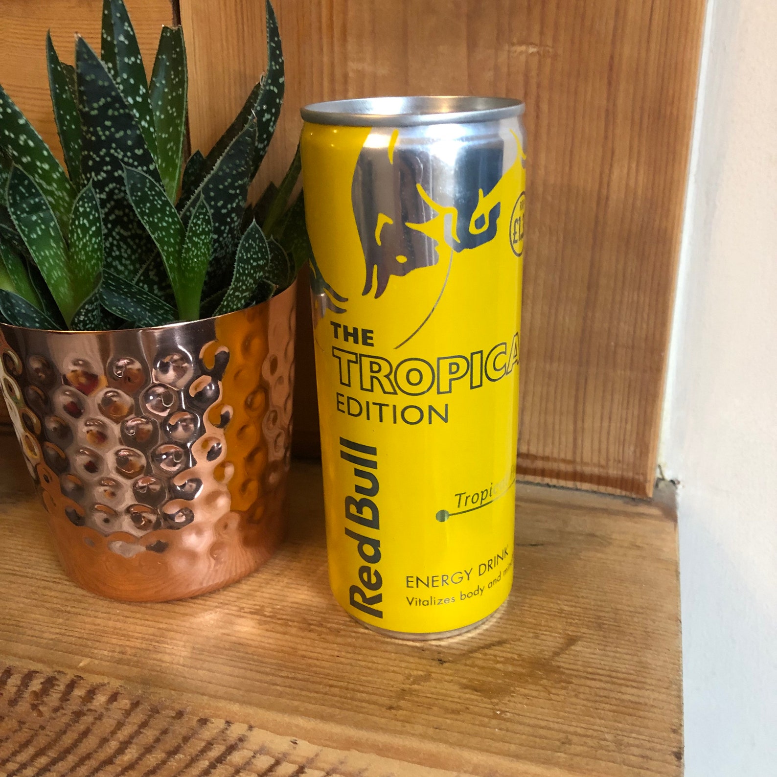 Red Bull Candle Upcycled Scented Candles Energy Drink Gift - Etsy UK