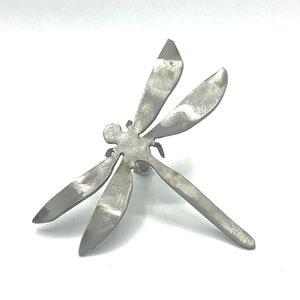 Dragonfly for Library from the Family of the Founder of the Little Free Library Movement