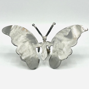 Butterfly for Library from the Family of the Founder of the Little Free Library Movement