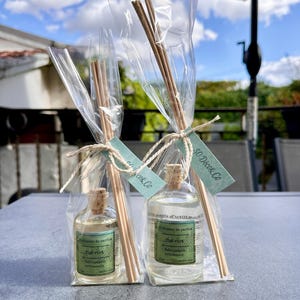 Op de afbeelding: Twee heldere glazen diffuserflessen met kurken stoppen, gevuld met een lichtgroene vloeistof en houten stokjes. Elke fles is verpakt in een doorzichtige plastic zak met een label "SO. Déco & Co" en "Thé vert".