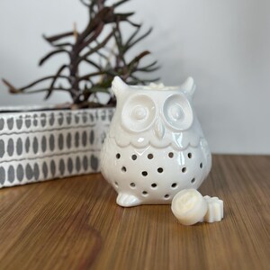 Può includere: Un riscaldatore di cera in ceramica bianca a forma di gufo con un design decorativo di fori e un viso di gufo in rilievo. Due scioglie-cera bianchi sono davanti al riscaldatore.