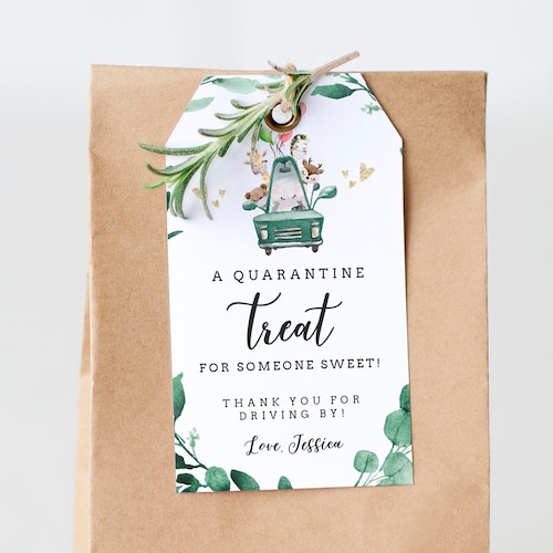 Drive by Baby Shower Thank You Cards Printable INSTANT Etsy