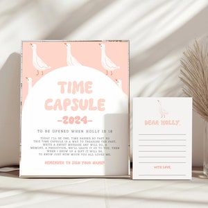 One Silly Goose Birthday Time Capsule, Girl 1st Birthday Time Capsule Template, Pink Silly Goose Birthday, Silly Goose Editable Template