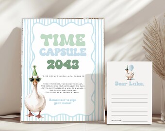 One Silly Goose Birthday Time Capsule, Boy 1st Birthday Wishes, Blue Goose 1st Birthday Sign, Silly Goose Birthday Decoration, Canva Luka
