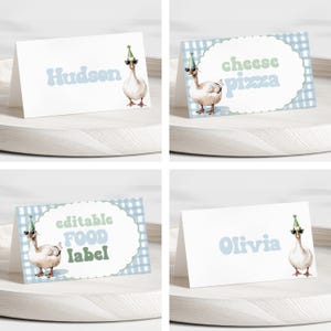 Silly Goose Birthday Food Labels, Boy Birthday Place Cards, Blue Goose 1st Birthday Tent Cards, One Silly Goose Birthday Theme, Canva Luka