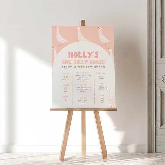 One Silly Goose First Birthday Stats Sign, Girl 1st Birthday Milestone, Pink Silly Goose Birthday, Editable Silly Goose Editable Template