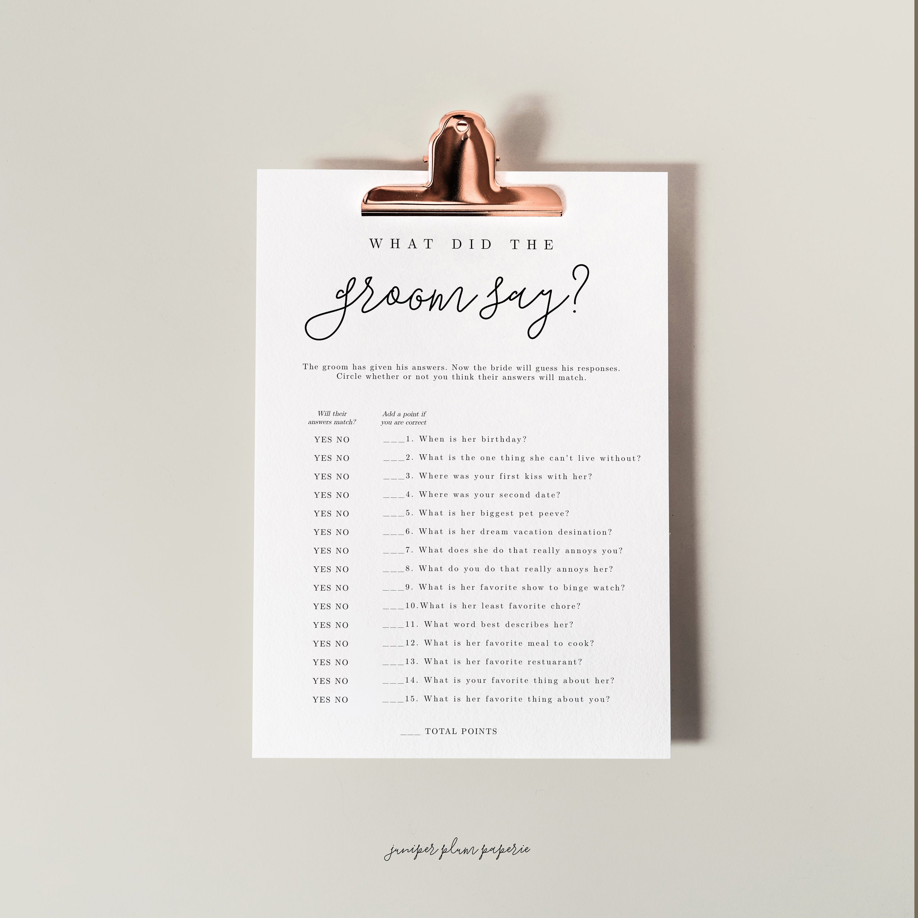 What Did the Groom Say, Minimalist Bridal Shower Game, Printable Bridal Game, Editable Template, Instant Download, Eucalyptus 707-BR1