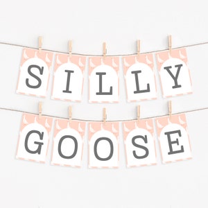 K&ouml;nnte beinhalten: Ein rosa-wei&szlig;es Banner mit den Worten "Silly Goose" in schwarzen Buchstaben. Jeder Buchstabe befindet sich auf einer separaten Karte mit einem Muster aus wei&szlig;en G&auml;nsen auf rosa Hintergrund.