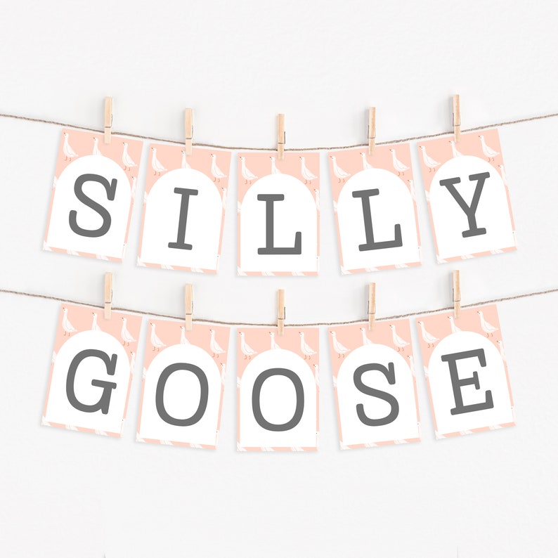 K&ouml;nnte beinhalten: Ein rosa-wei&szlig;es Banner mit den Worten "Silly Goose" in schwarzen Buchstaben. Jeder Buchstabe befindet sich auf einer separaten Karte mit einem Muster aus wei&szlig;en G&auml;nsen auf rosa Hintergrund.