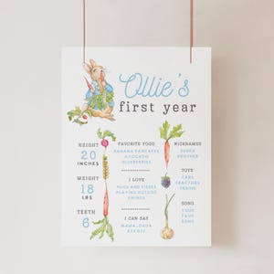 Peter Rabbit Geburtstags-Meilensteinplakat, bearbeitbare rustikale Häschengeburtstag-Statistikvorlage, 1.Geburtstag, Jungenparty druckbar, sofortiger Download