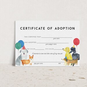 May include: A certificate of adoption for a new pet. The certificate has spaces to fill in the adopter's name, the pet's name, fur color, eye color, and a signature line. The certificate is decorated with a watercolor illustration of four dogs wearing party hats and holding balloons.