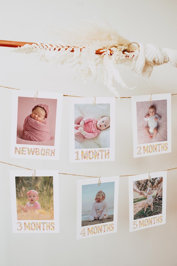 Wildflower Birthday Photo Banner, Wildflower Girl First Birthday Banner, Minimalist Floral Photo Birthday Bunting Canva Template 271