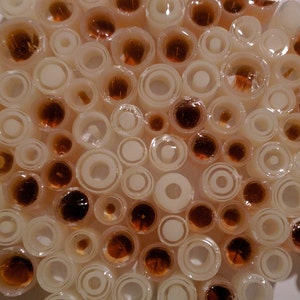 May include: A close-up of a wall art piece made of many small, round, translucent tubes. The tubes are arranged in a random pattern and are filled with a clear liquid. Some of the tubes have a brown liquid inside.