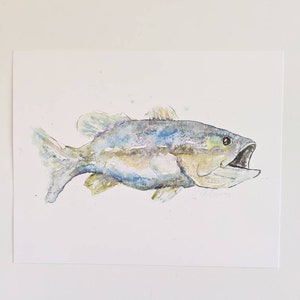 Fish PRINT Bass Blues Greens Lake Coastal 8x10 Gift Home Decor Wall Art